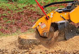 Best Lawn Disease Treatment  in Crest View Heights, NY