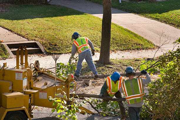 Best Lawn Grading and Leveling  in Crest View Heights, NY